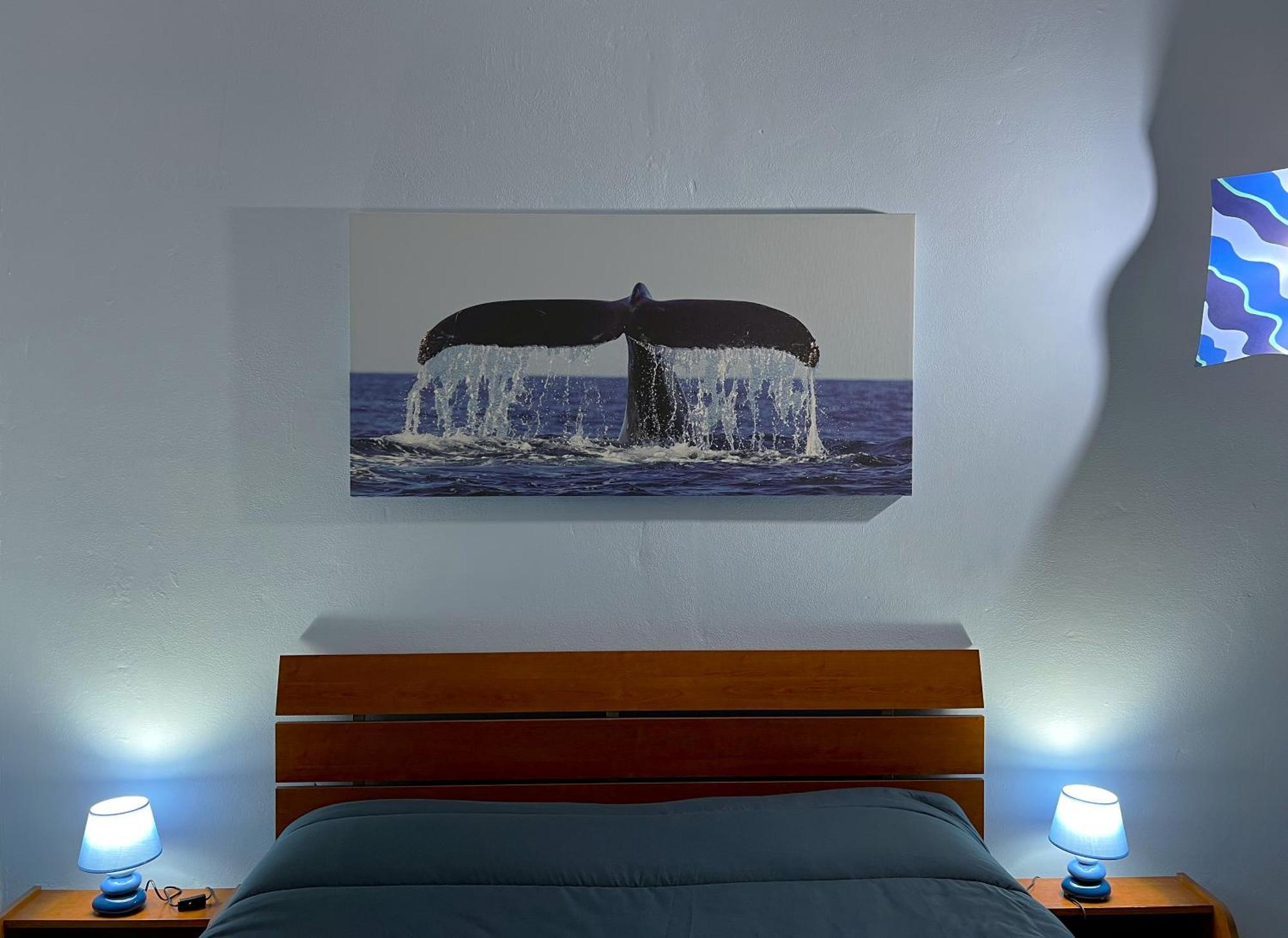 Casa Vacanze Oceano Livorno Exteriör bild
